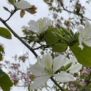 盼望你能再次回到我身边