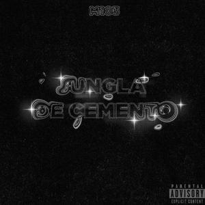 Jungla De Cemento
