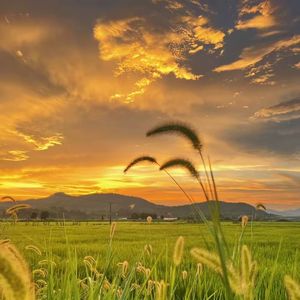 ‘‘Memory’’ Melody Rap