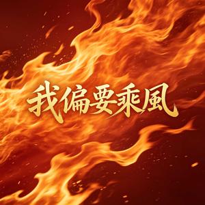 我偏要乘風
