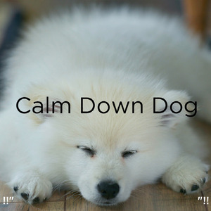 ホワイトノイズスリープ