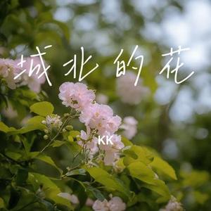 城北的花 (KK Remix)