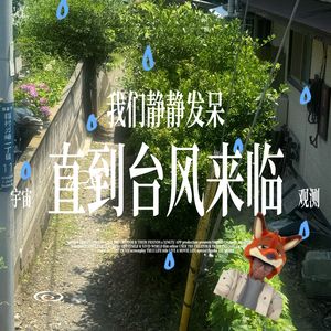 我们静静发呆直到台风降临