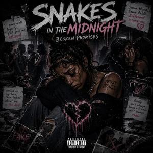 Smakes in the midnight