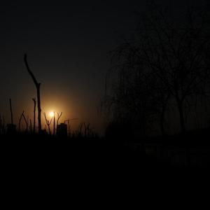 今天也想见到你