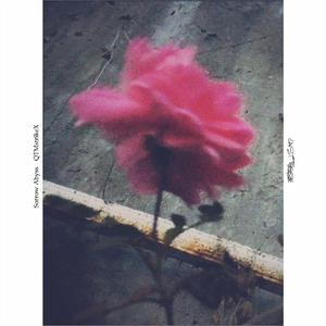 LAST FREEZE #2（第二部分）