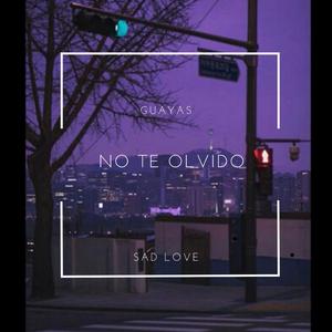 No Te Olvido
