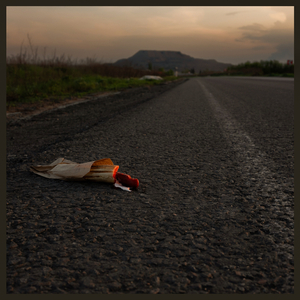 Контужений пес