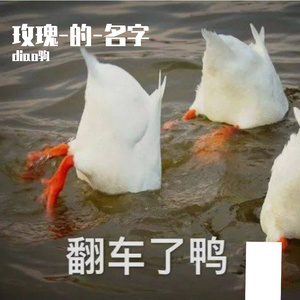 玫瑰的名字（原唱：张雨生）