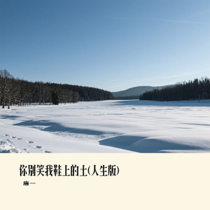 你别笑我鞋上的土(人生版)