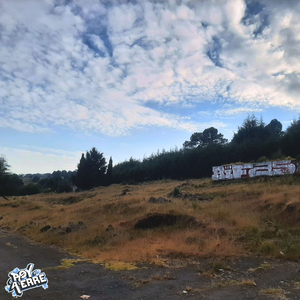 Que Tienen Que Decir