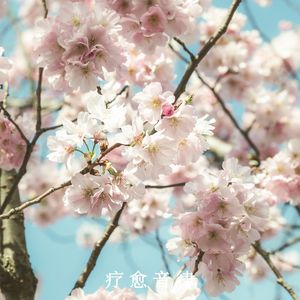 轻轻拂去压力（放松纯音乐）