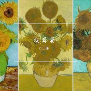 向日葵花开