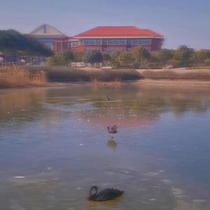 家里蹲（prod.August Wu)