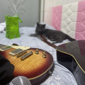 今夜只想写病句