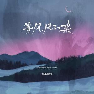 等风风不来 (DJ版)