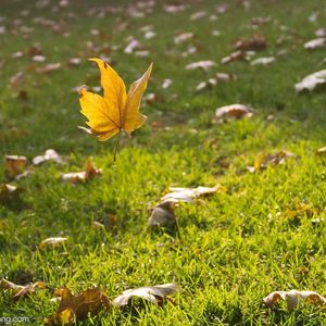 看得最远的地方
