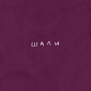 Шали