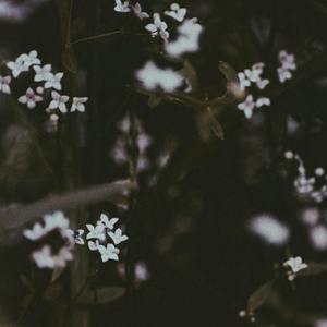 当世界从空中跌落