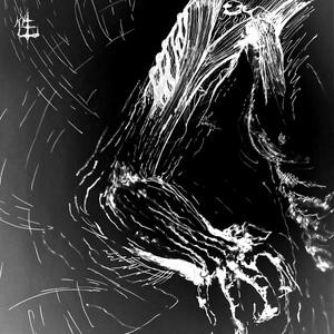 Biomechanical evolution