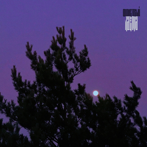 Фиолетовый