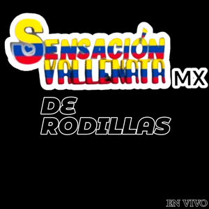 De Rodillas(En Vivo)