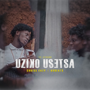 Uziko Usetsa