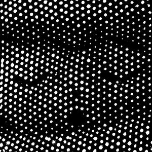 ウインド・ソング