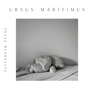Ursus Maritimus