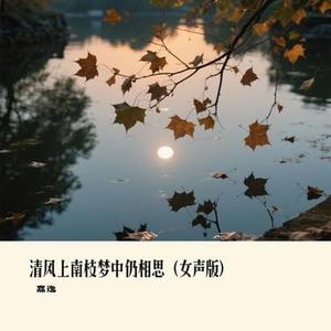 清风上南枝梦中仍相思