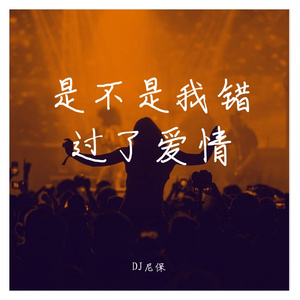 DJ尼保 - 是不是我错过了爱情 伴奏