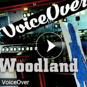 Wo͝odlənd (Instrumental)