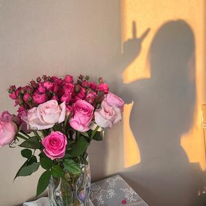 撞了南墙不醒悟