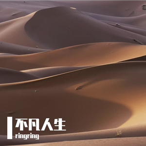 颠沛流离的人生 伴奏