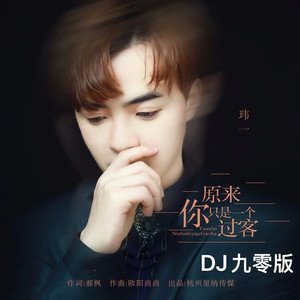 原来你只是一个过客 (DJ九零版)