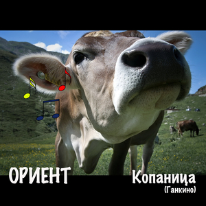 Копаница (ганкино)