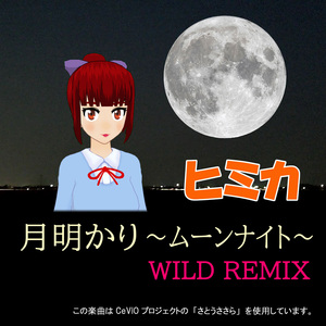 月明かり～ムーンナイト～ [WILD REMIX]