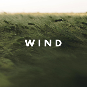Wind