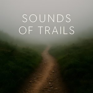 The Ocean Doesn’t Scream