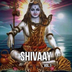 Bum Bum Bhole Bhandari