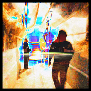 5D