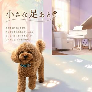 ちいさな足あと