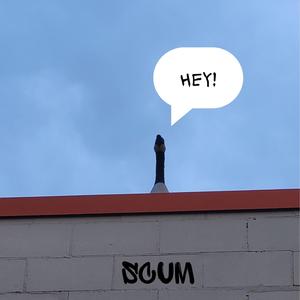 Hey Ya (Heck no Version)