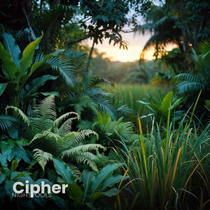 Cipher