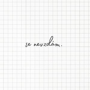 se nevzdám.