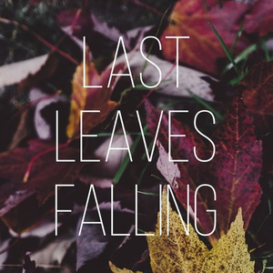 Last Leaves Falling