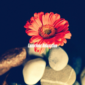 Sparkling Creative Inspirations