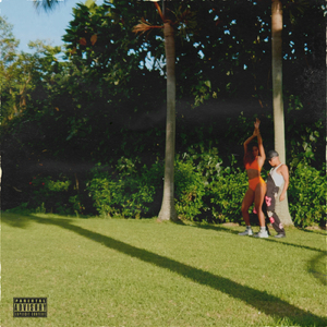 ヤシの木の下で (feat. I-VAN) [Remix]