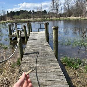 architect (Prod. sighh)