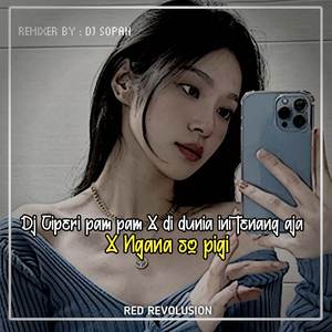 DJ CIPERI PAM PAM X DI DUNIA INI TENANG AJA X NGANA SO PIGI